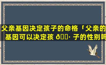 父亲基因决定孩子的命格「父亲的基因可以决定孩 🌷 子的性别吗」